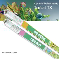 Dennerle Trocal de Luxe T8 Special Plant + Color Plus