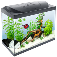 Tetra Starter Line Aquarium LED 80L