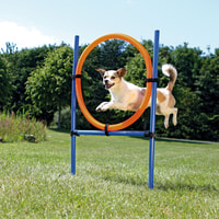 Trixie Dog Activity Agility Ring