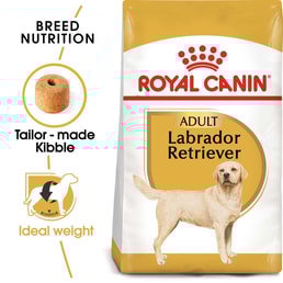 ROYAL CANIN Labrador Retriever Adult Hundefutter trocken