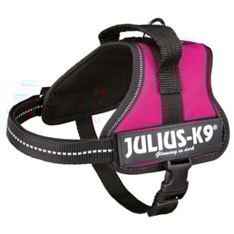 Julius-K9 Powergeschirr fuchsia
