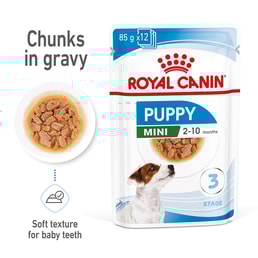 ROYAL CANIN Mini Puppy Welpenfutter Nass für kleine Hunde